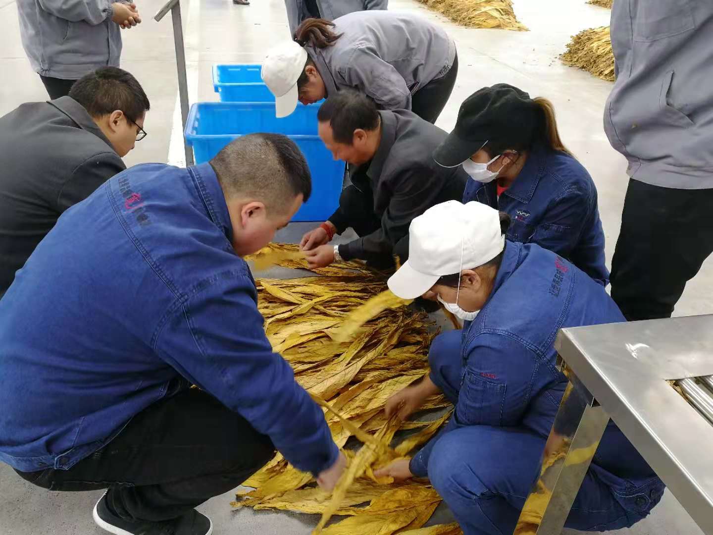 遵义复烤厂第一次技能大赛--现场照片